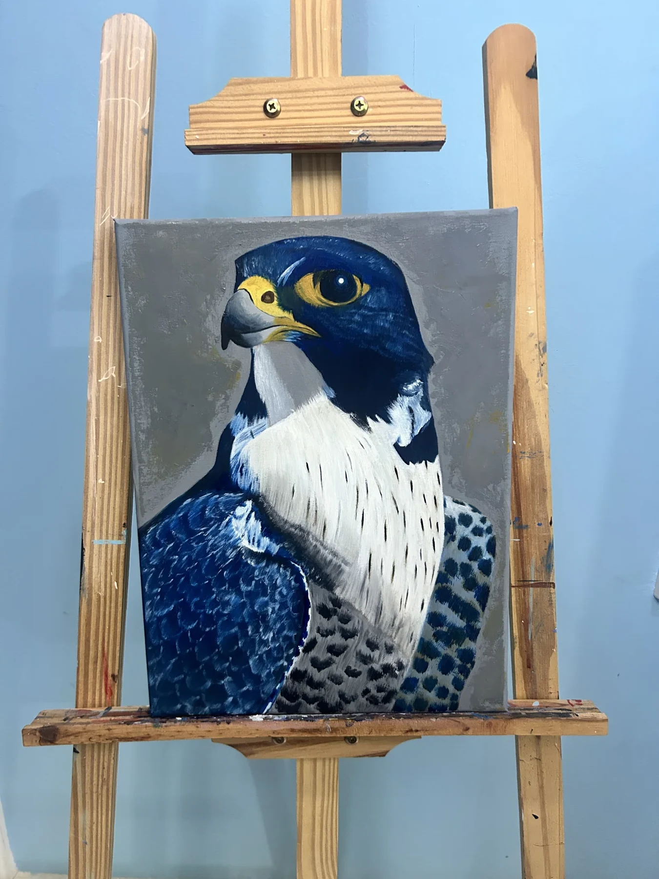 Peregrine Study